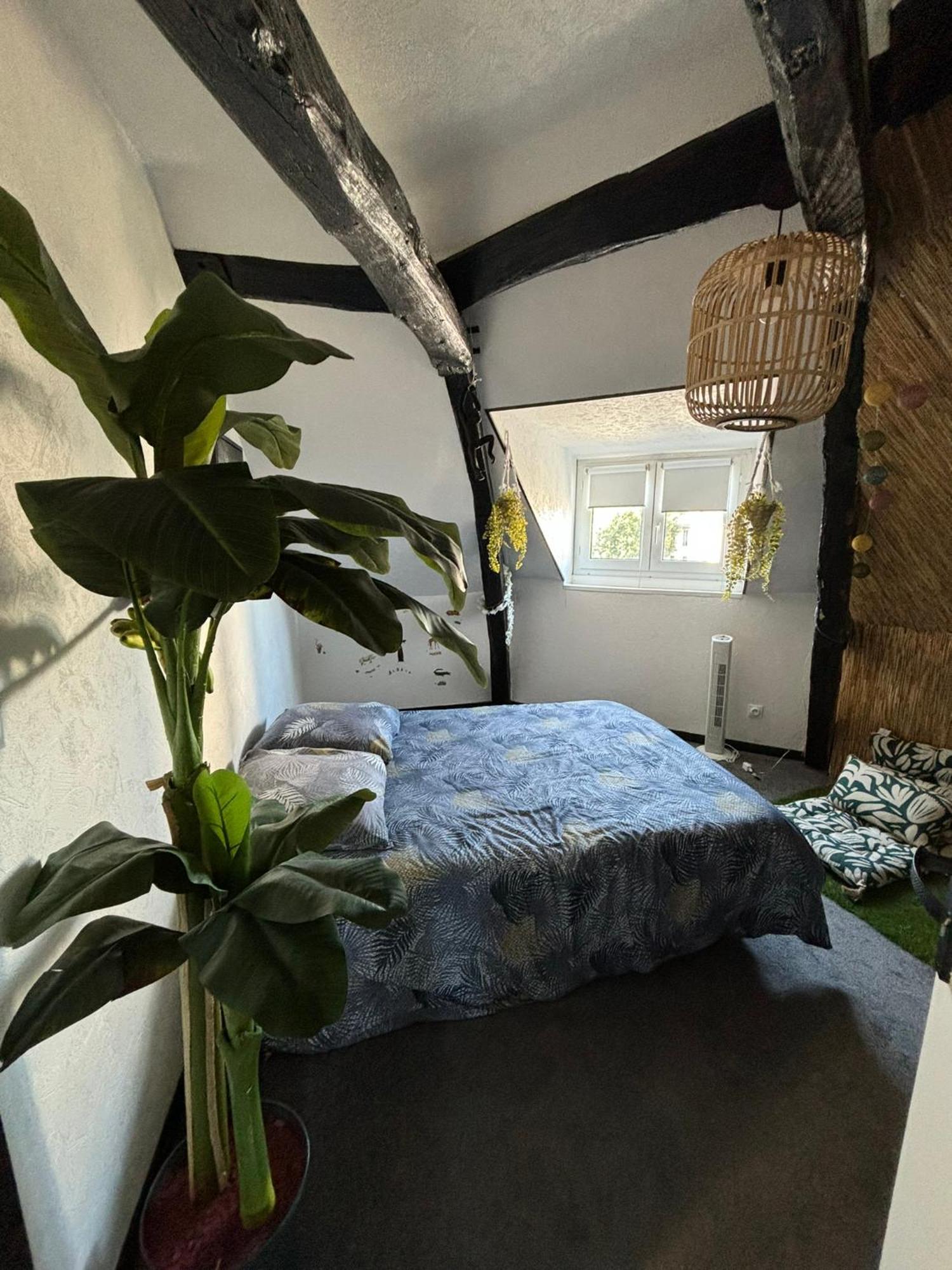 Jungle Cosy Apartment Louviers Exterior photo