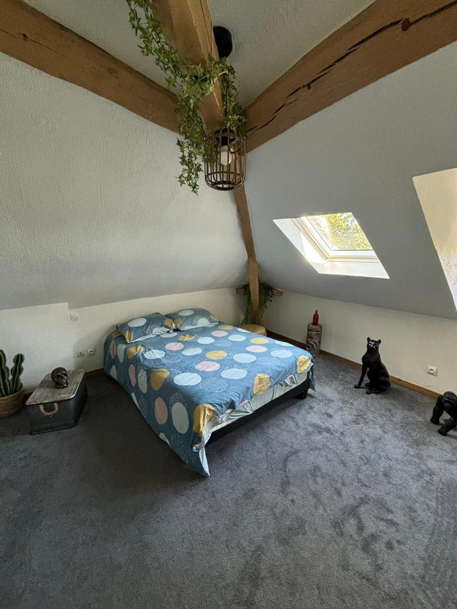 Jungle Cosy Apartment Louviers Exterior photo